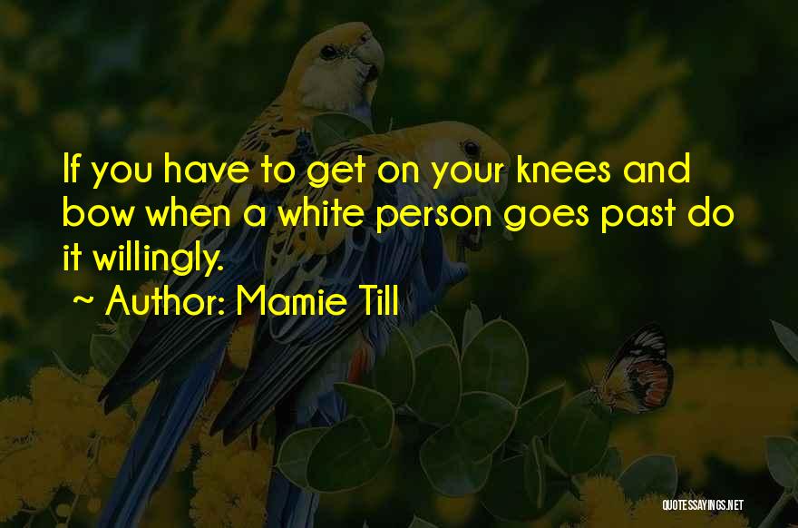 Mamie Till Quotes: If You Have To Get On Your Knees And Bow When A White Person Goes Past Do It Willingly.