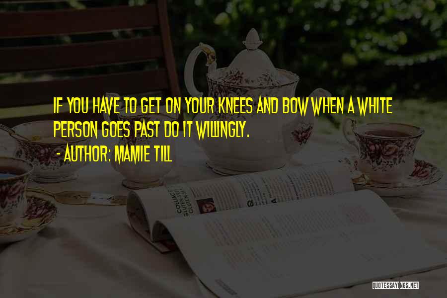 Mamie Till Quotes: If You Have To Get On Your Knees And Bow When A White Person Goes Past Do It Willingly.