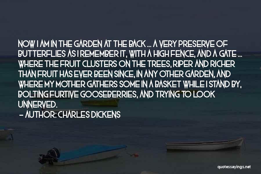 Charles Dickens Quotes: Now I Am In The Garden At The Back ... A Very Preserve Of Butterflies As I Remember It, With