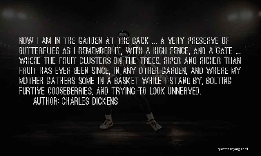 Charles Dickens Quotes: Now I Am In The Garden At The Back ... A Very Preserve Of Butterflies As I Remember It, With