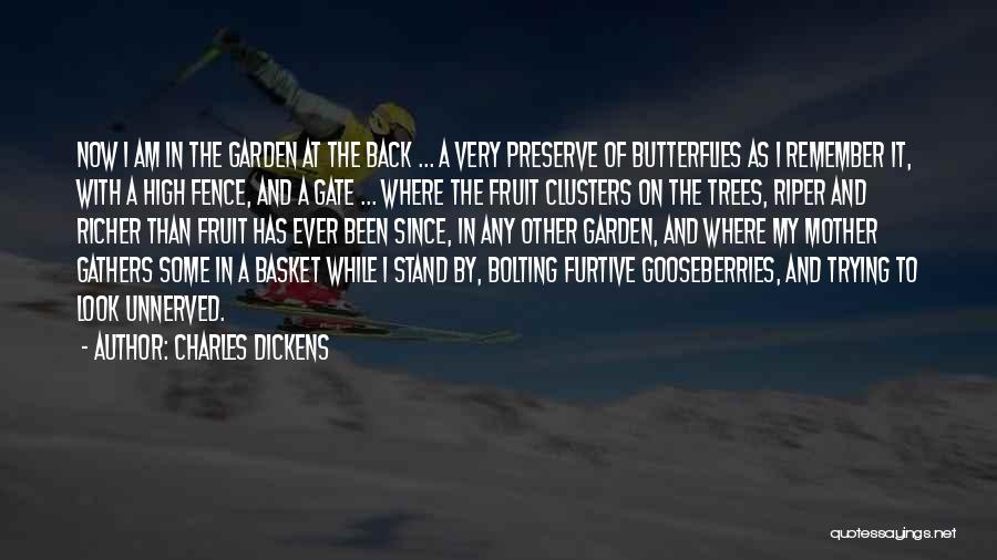 Charles Dickens Quotes: Now I Am In The Garden At The Back ... A Very Preserve Of Butterflies As I Remember It, With