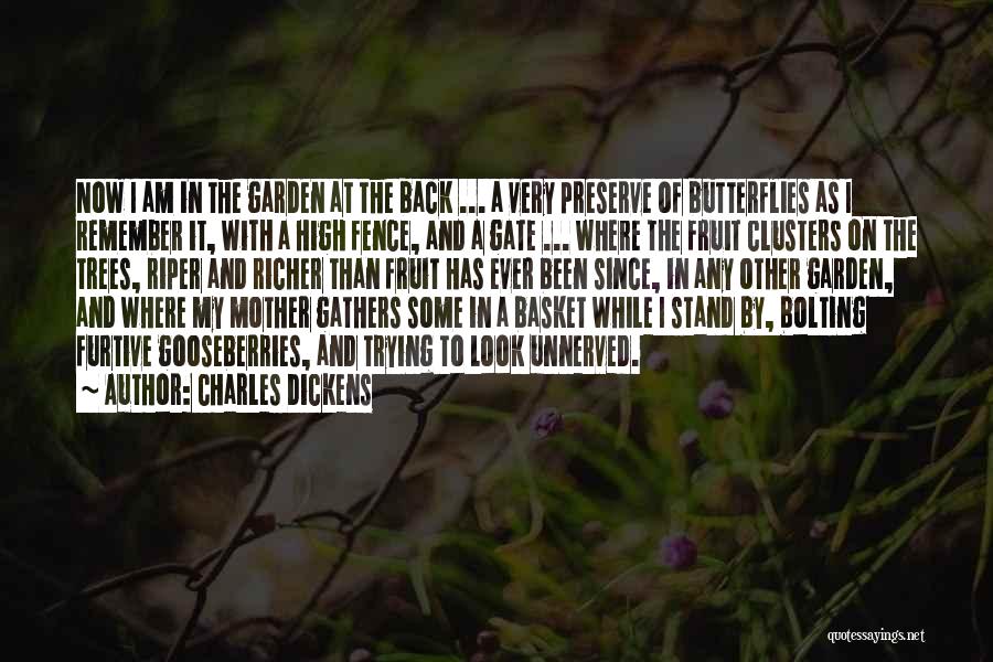 Charles Dickens Quotes: Now I Am In The Garden At The Back ... A Very Preserve Of Butterflies As I Remember It, With