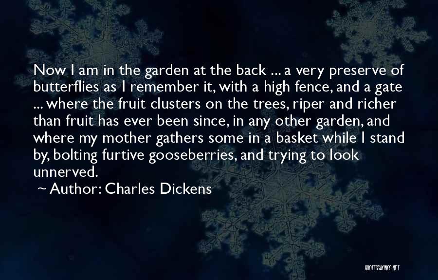 Charles Dickens Quotes: Now I Am In The Garden At The Back ... A Very Preserve Of Butterflies As I Remember It, With