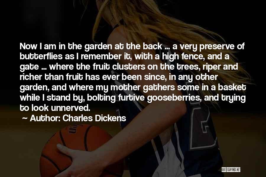 Charles Dickens Quotes: Now I Am In The Garden At The Back ... A Very Preserve Of Butterflies As I Remember It, With