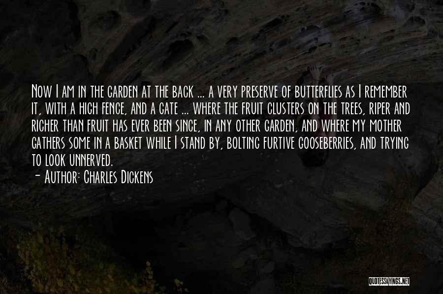 Charles Dickens Quotes: Now I Am In The Garden At The Back ... A Very Preserve Of Butterflies As I Remember It, With