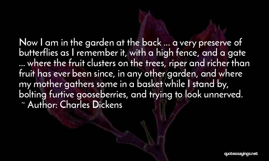 Charles Dickens Quotes: Now I Am In The Garden At The Back ... A Very Preserve Of Butterflies As I Remember It, With