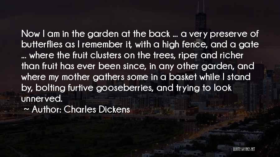 Charles Dickens Quotes: Now I Am In The Garden At The Back ... A Very Preserve Of Butterflies As I Remember It, With