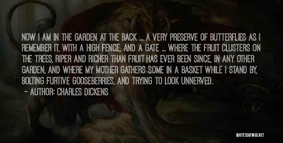 Charles Dickens Quotes: Now I Am In The Garden At The Back ... A Very Preserve Of Butterflies As I Remember It, With