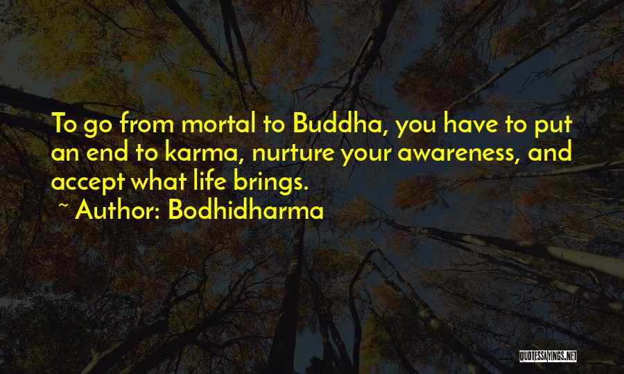 Bodhidharma Quotes: To Go From Mortal To Buddha, You Have To Put An End To Karma, Nurture Your Awareness, And Accept What