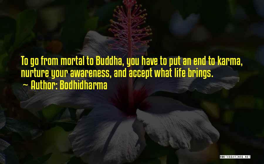 Bodhidharma Quotes: To Go From Mortal To Buddha, You Have To Put An End To Karma, Nurture Your Awareness, And Accept What
