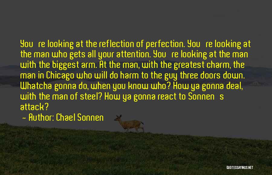 Chael Sonnen Quotes: You're Looking At The Reflection Of Perfection. You're Looking At The Man Who Gets All Your Attention. You're Looking At