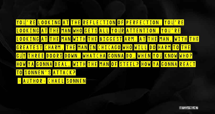 Chael Sonnen Quotes: You're Looking At The Reflection Of Perfection. You're Looking At The Man Who Gets All Your Attention. You're Looking At