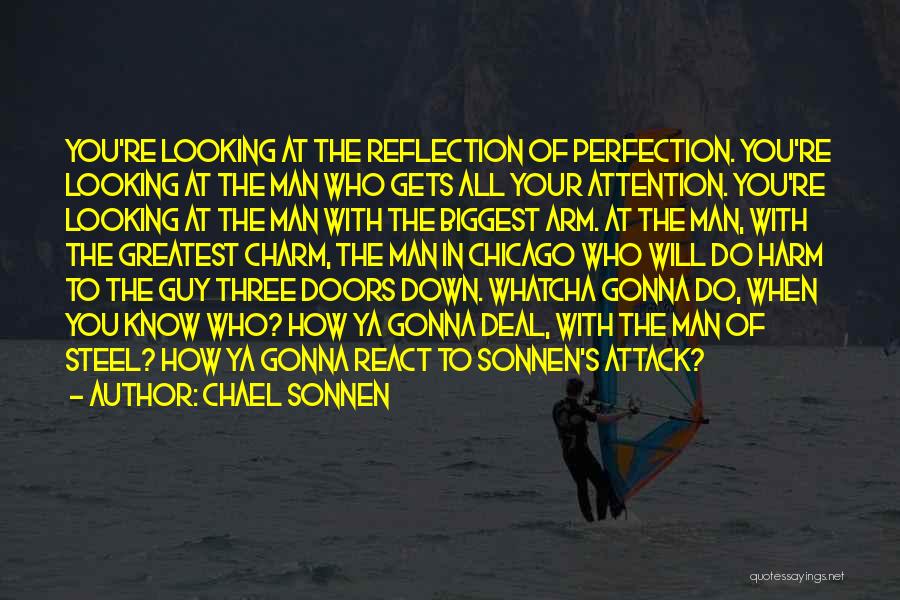 Chael Sonnen Quotes: You're Looking At The Reflection Of Perfection. You're Looking At The Man Who Gets All Your Attention. You're Looking At