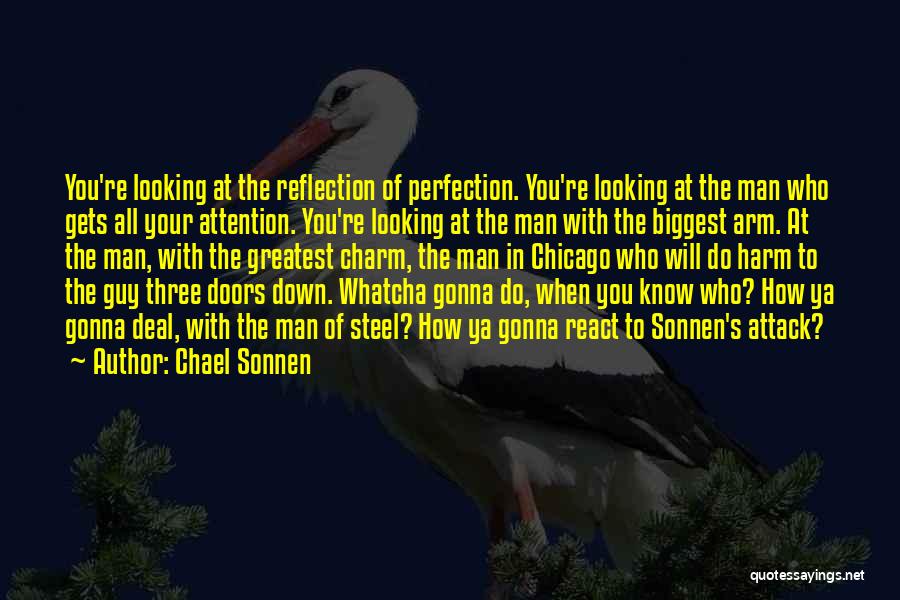 Chael Sonnen Quotes: You're Looking At The Reflection Of Perfection. You're Looking At The Man Who Gets All Your Attention. You're Looking At