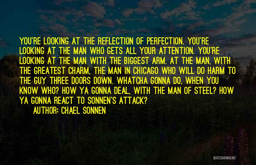 Chael Sonnen Quotes: You're Looking At The Reflection Of Perfection. You're Looking At The Man Who Gets All Your Attention. You're Looking At