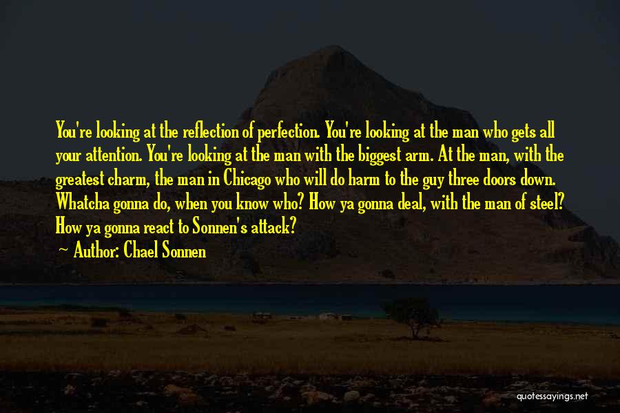 Chael Sonnen Quotes: You're Looking At The Reflection Of Perfection. You're Looking At The Man Who Gets All Your Attention. You're Looking At