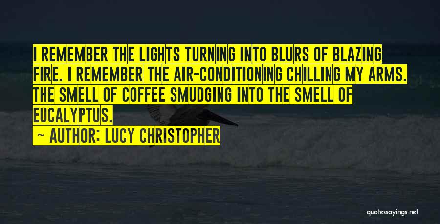 Lucy Christopher Quotes: I Remember The Lights Turning Into Blurs Of Blazing Fire. I Remember The Air-conditioning Chilling My Arms. The Smell Of