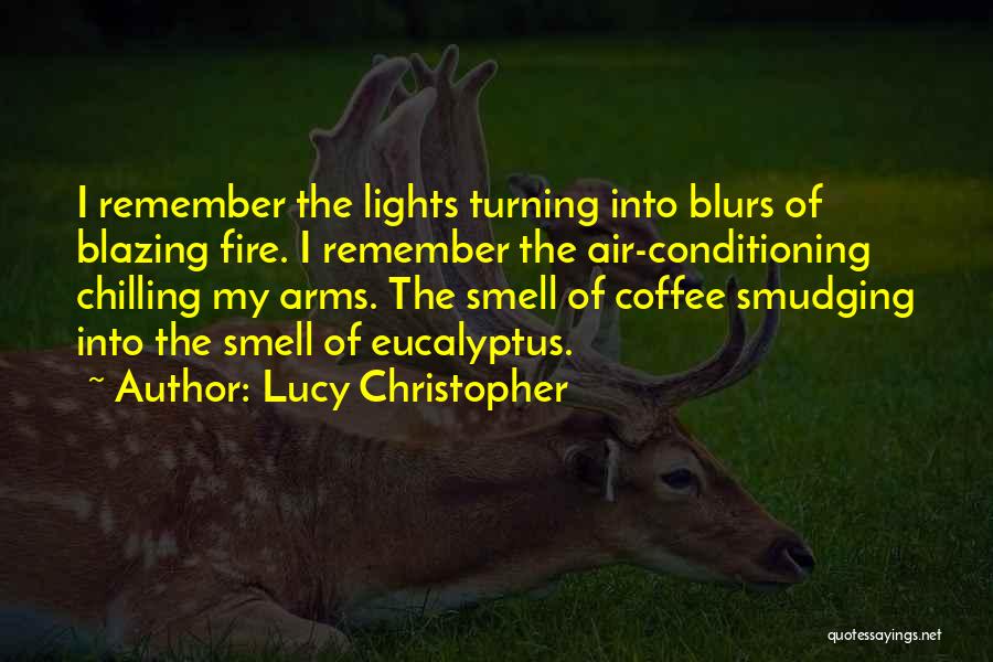 Lucy Christopher Quotes: I Remember The Lights Turning Into Blurs Of Blazing Fire. I Remember The Air-conditioning Chilling My Arms. The Smell Of