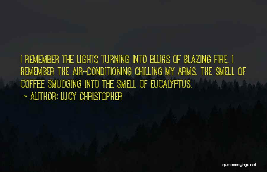 Lucy Christopher Quotes: I Remember The Lights Turning Into Blurs Of Blazing Fire. I Remember The Air-conditioning Chilling My Arms. The Smell Of