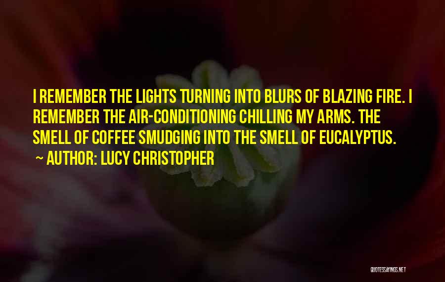 Lucy Christopher Quotes: I Remember The Lights Turning Into Blurs Of Blazing Fire. I Remember The Air-conditioning Chilling My Arms. The Smell Of