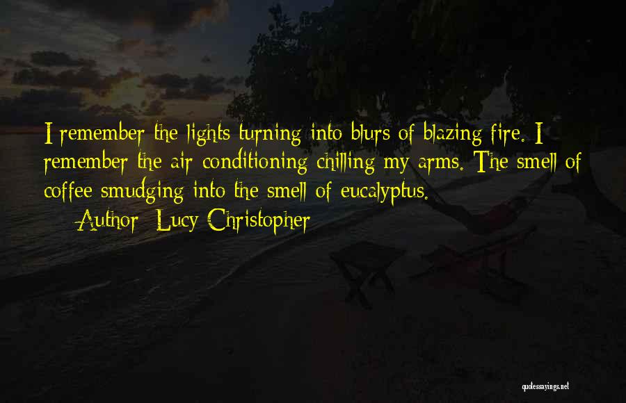 Lucy Christopher Quotes: I Remember The Lights Turning Into Blurs Of Blazing Fire. I Remember The Air-conditioning Chilling My Arms. The Smell Of