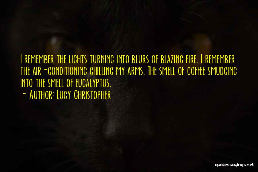 Lucy Christopher Quotes: I Remember The Lights Turning Into Blurs Of Blazing Fire. I Remember The Air-conditioning Chilling My Arms. The Smell Of