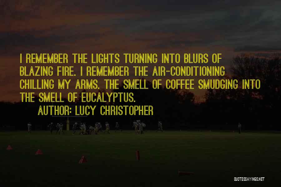 Lucy Christopher Quotes: I Remember The Lights Turning Into Blurs Of Blazing Fire. I Remember The Air-conditioning Chilling My Arms. The Smell Of