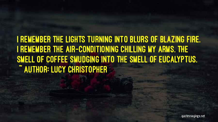 Lucy Christopher Quotes: I Remember The Lights Turning Into Blurs Of Blazing Fire. I Remember The Air-conditioning Chilling My Arms. The Smell Of