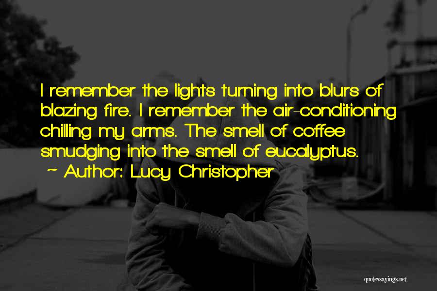 Lucy Christopher Quotes: I Remember The Lights Turning Into Blurs Of Blazing Fire. I Remember The Air-conditioning Chilling My Arms. The Smell Of