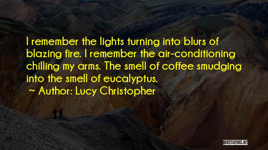 Lucy Christopher Quotes: I Remember The Lights Turning Into Blurs Of Blazing Fire. I Remember The Air-conditioning Chilling My Arms. The Smell Of