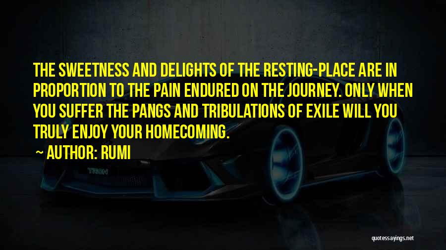 Rumi Quotes: The Sweetness And Delights Of The Resting-place Are In Proportion To The Pain Endured On The Journey. Only When You