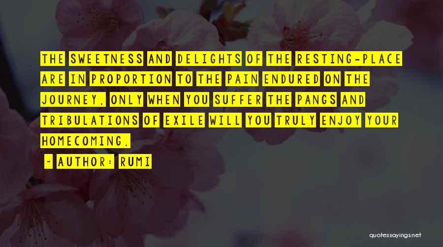 Rumi Quotes: The Sweetness And Delights Of The Resting-place Are In Proportion To The Pain Endured On The Journey. Only When You