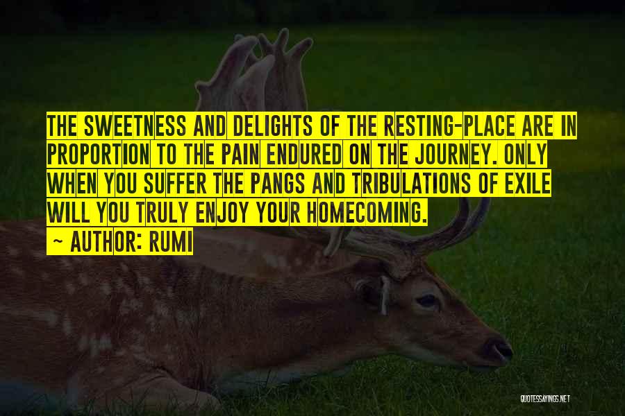 Rumi Quotes: The Sweetness And Delights Of The Resting-place Are In Proportion To The Pain Endured On The Journey. Only When You