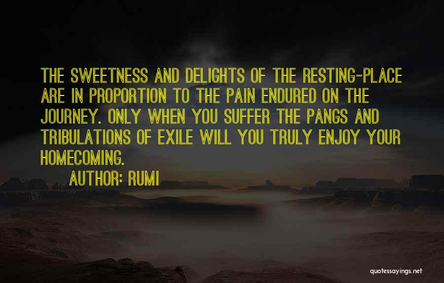 Rumi Quotes: The Sweetness And Delights Of The Resting-place Are In Proportion To The Pain Endured On The Journey. Only When You