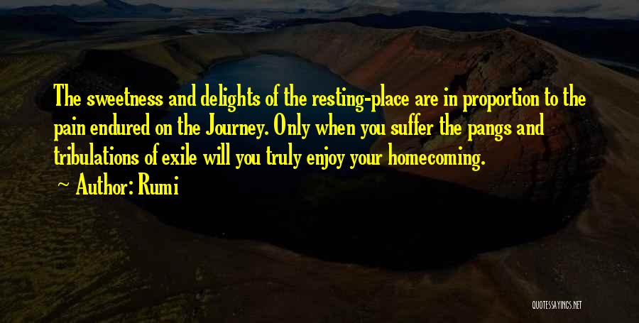 Rumi Quotes: The Sweetness And Delights Of The Resting-place Are In Proportion To The Pain Endured On The Journey. Only When You
