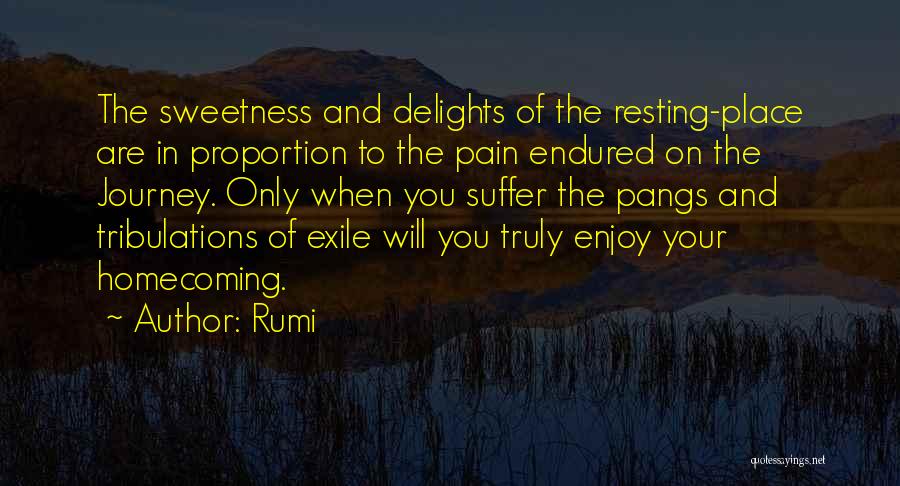 Rumi Quotes: The Sweetness And Delights Of The Resting-place Are In Proportion To The Pain Endured On The Journey. Only When You
