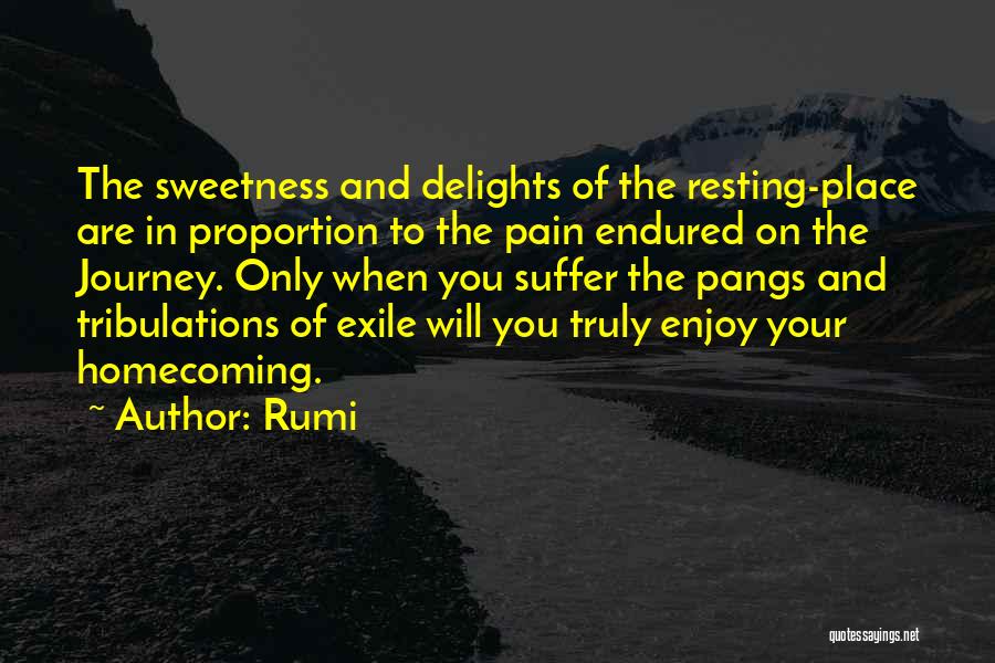 Rumi Quotes: The Sweetness And Delights Of The Resting-place Are In Proportion To The Pain Endured On The Journey. Only When You