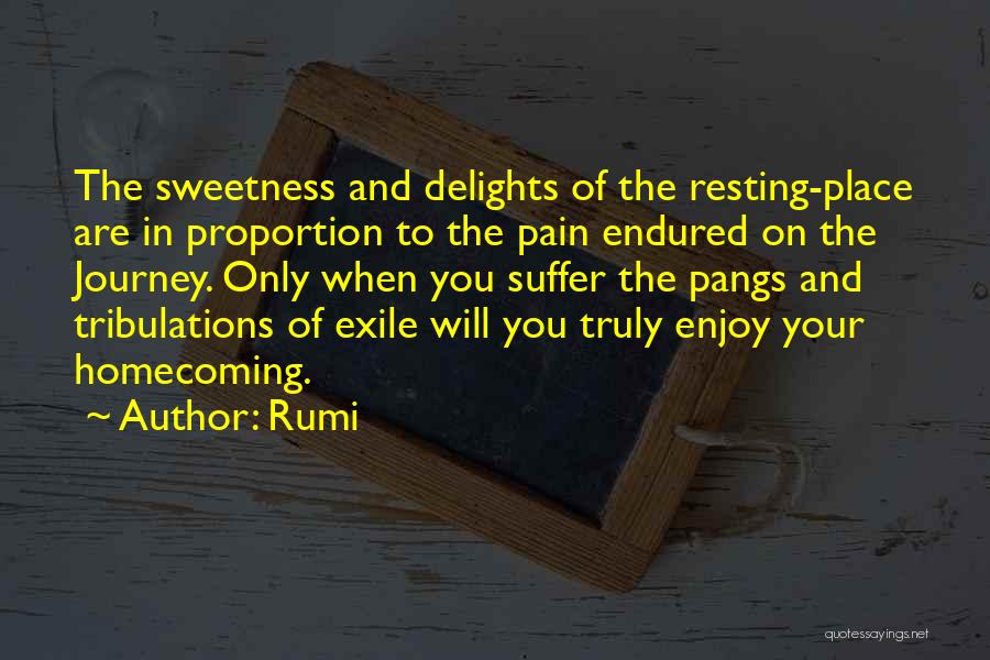 Rumi Quotes: The Sweetness And Delights Of The Resting-place Are In Proportion To The Pain Endured On The Journey. Only When You