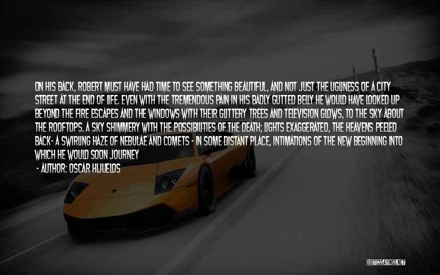 Oscar Hijuelos Quotes: On His Back, Robert Must Have Had Time To See Something Beautiful, And Not Just The Ugliness Of A City