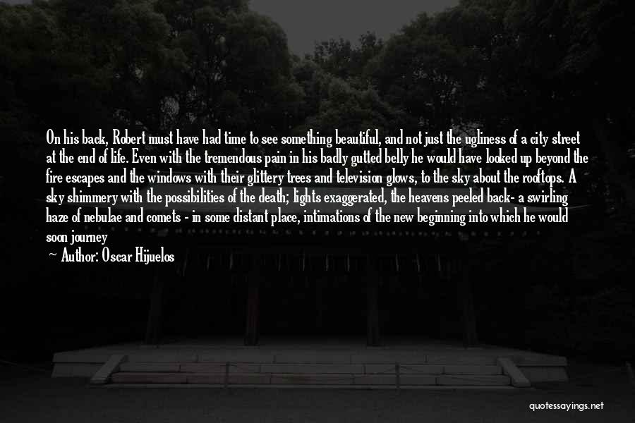 Oscar Hijuelos Quotes: On His Back, Robert Must Have Had Time To See Something Beautiful, And Not Just The Ugliness Of A City