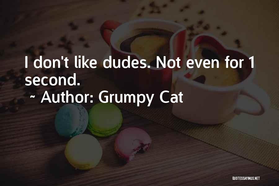 Grumpy Cat Quotes: I Don't Like Dudes. Not Even For 1 Second.