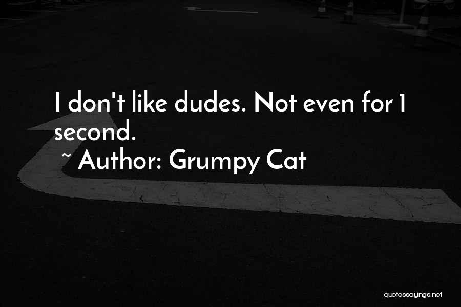 Grumpy Cat Quotes: I Don't Like Dudes. Not Even For 1 Second.