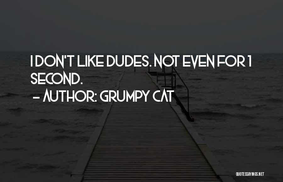 Grumpy Cat Quotes: I Don't Like Dudes. Not Even For 1 Second.