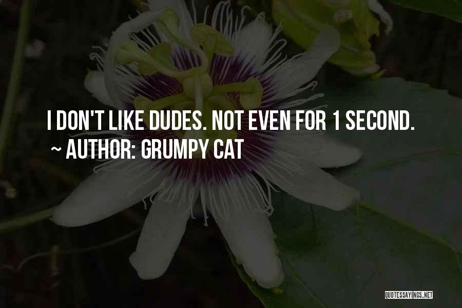 Grumpy Cat Quotes: I Don't Like Dudes. Not Even For 1 Second.