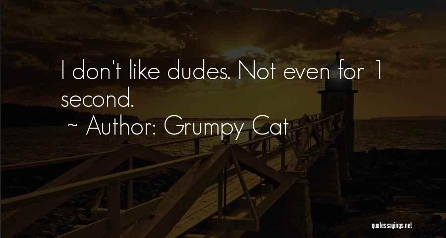 Grumpy Cat Quotes: I Don't Like Dudes. Not Even For 1 Second.