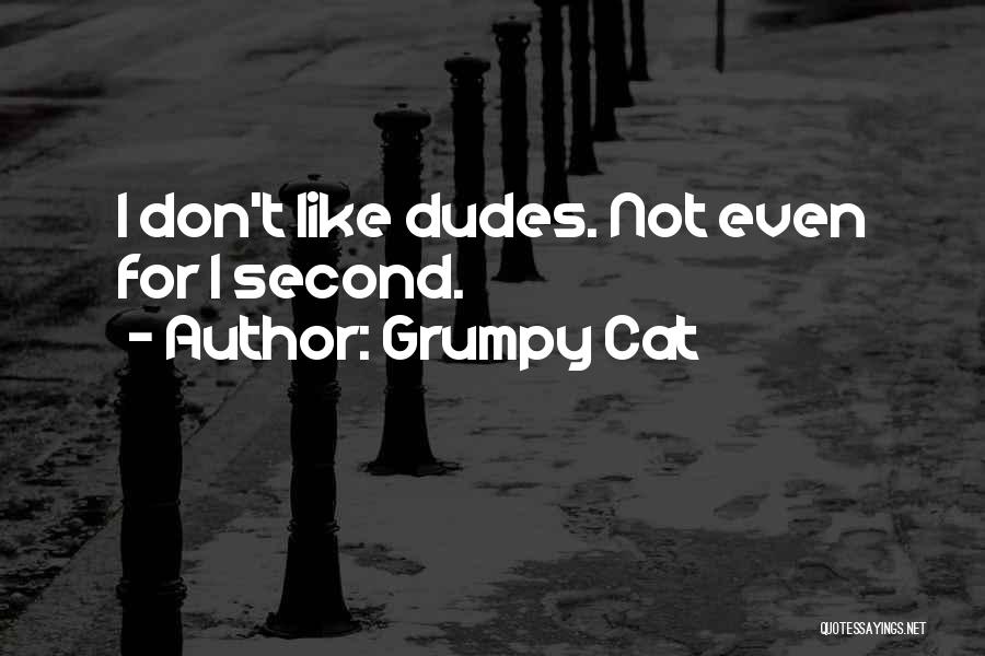 Grumpy Cat Quotes: I Don't Like Dudes. Not Even For 1 Second.