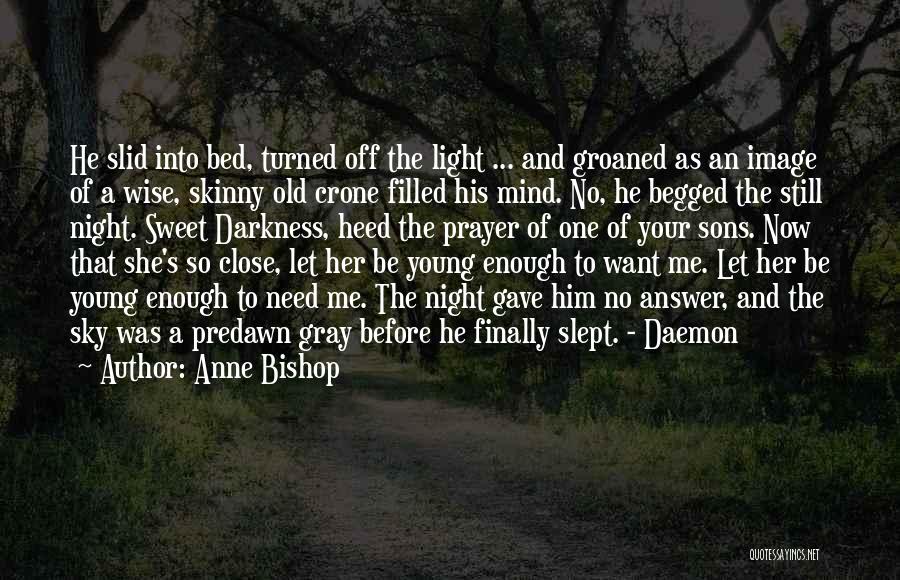 Anne Bishop Quotes: He Slid Into Bed, Turned Off The Light ... And Groaned As An Image Of A Wise, Skinny Old Crone