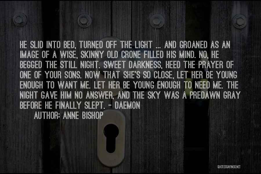 Anne Bishop Quotes: He Slid Into Bed, Turned Off The Light ... And Groaned As An Image Of A Wise, Skinny Old Crone