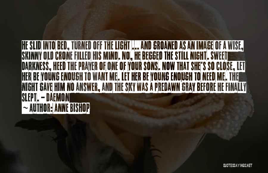 Anne Bishop Quotes: He Slid Into Bed, Turned Off The Light ... And Groaned As An Image Of A Wise, Skinny Old Crone