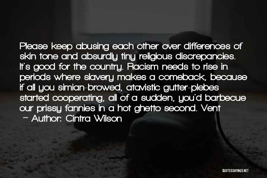 Cintra Wilson Quotes: Please Keep Abusing Each Other Over Differences Of Skin Tone And Absurdly Tiny Religious Discrepancies. It's Good For The Country.